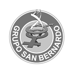 Logo Grupo San Bernardo